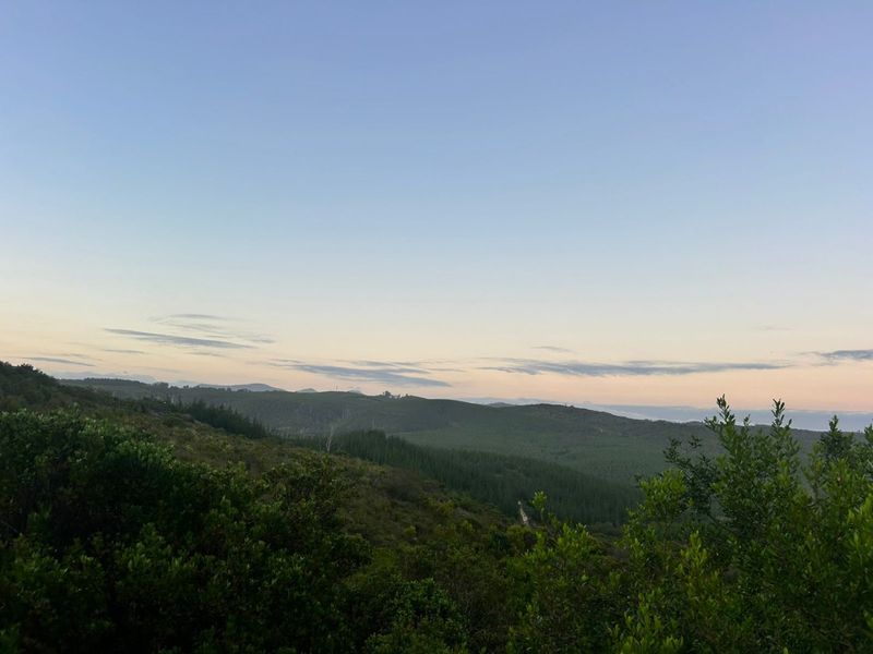 Where Nature Sets the Pace - Photo 4