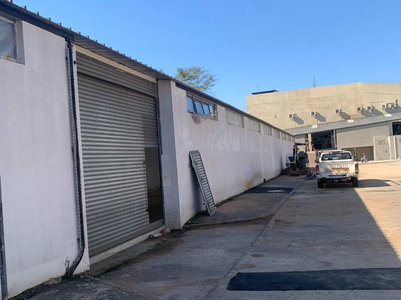 Visible Ground-Floor Warehouse – Durban Central (325 sqm) - Photo 5