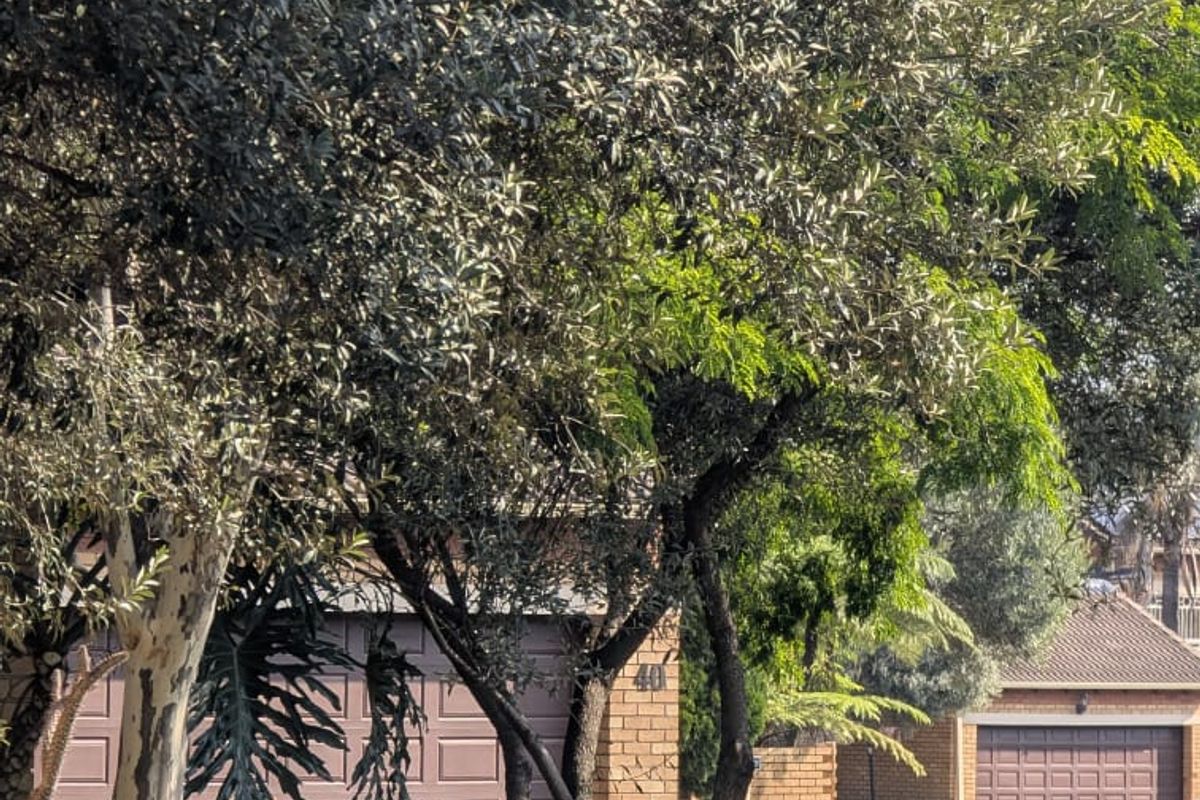 3 Bedroom Simplex for Sale, Equestria, Pretoria East  - Photo 3