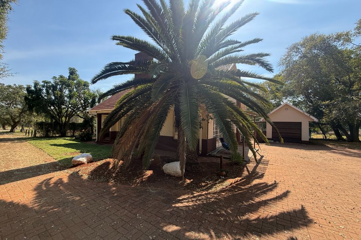 Spacious 3-Bedroom Plot House To Rent – Available Immediately - Photo 2