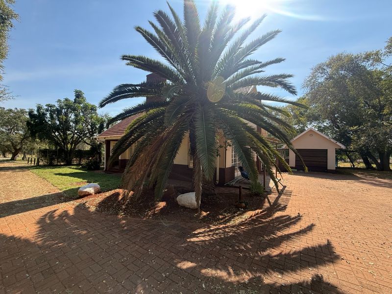 Spacious 3-Bedroom Plot House To Rent – Available Immediately - Photo 2