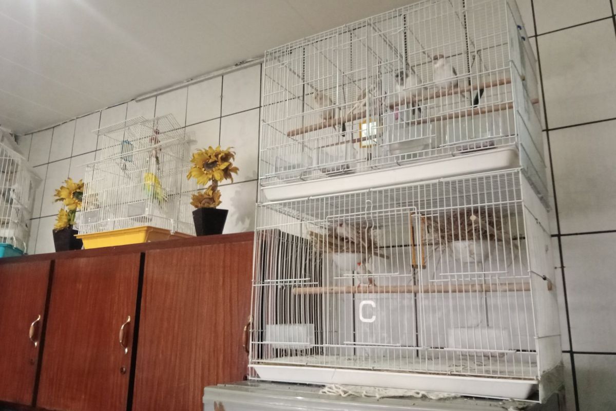 Classy, Neat 2 Bedroom Unit, next to the highway, in a quiet suburb. - Photo 4