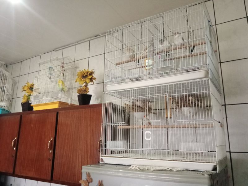 Classy, Neat 2 Bedroom Unit, next to the highway, in a quiet suburb. - Photo 4