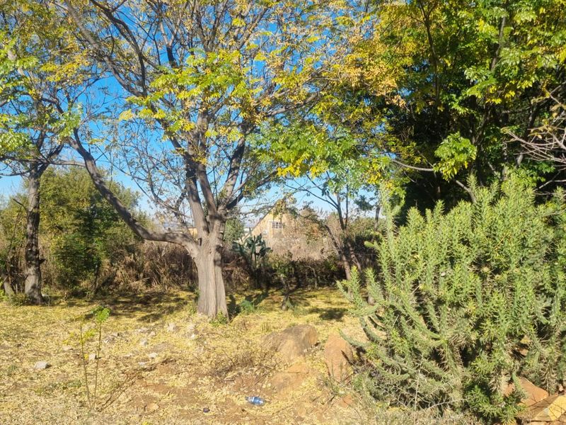 Stunning Dam View Vacant Land Opportunity - Photo 1