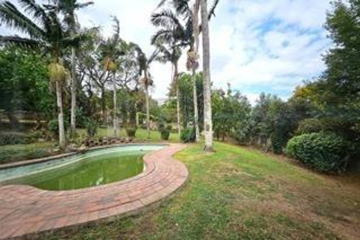A spacious backyard featuring a swimming pool with brick surround, set within a large garden with mature palm trees and established landscaping.