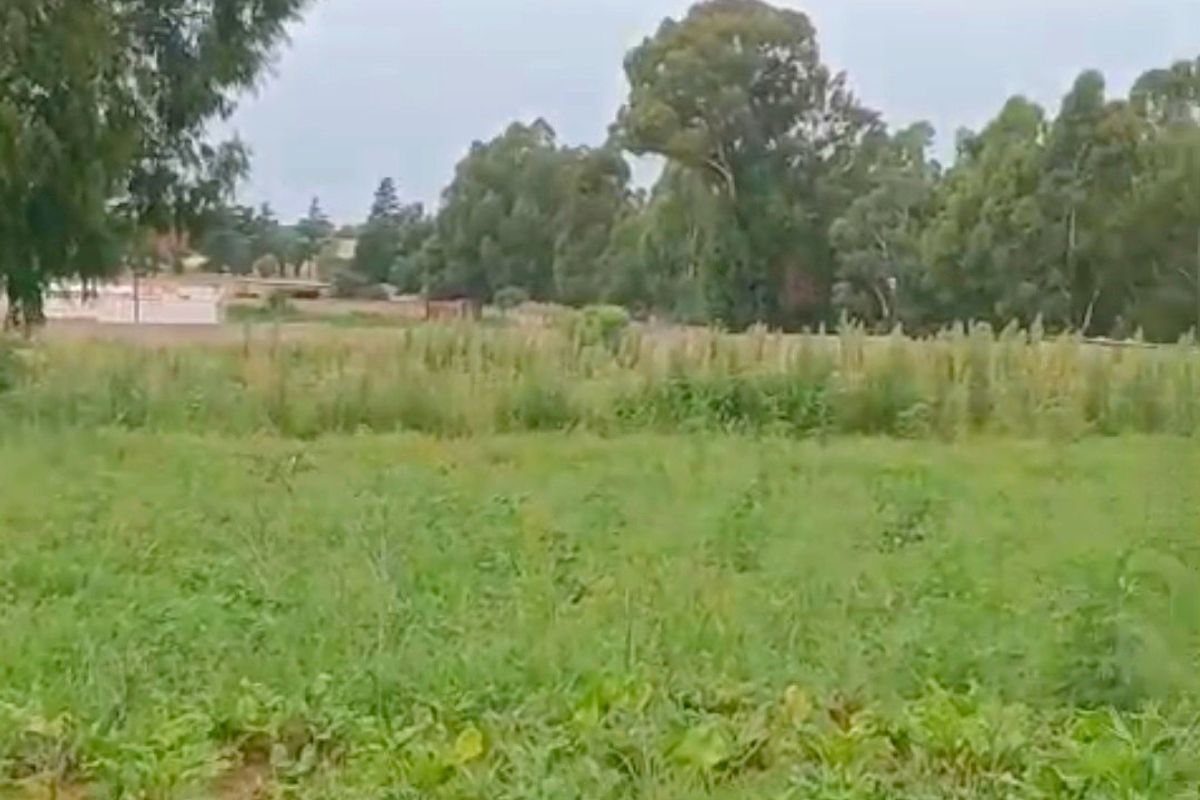 Developed land - Photo 2