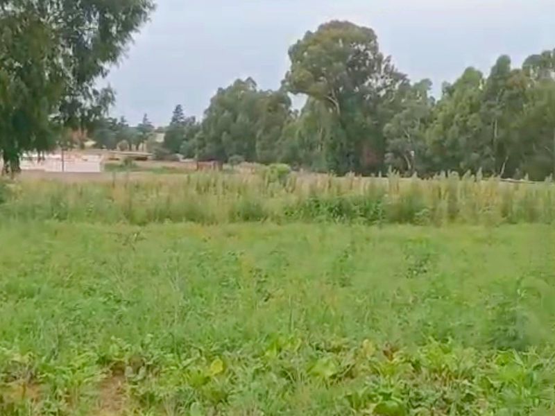 Developed land - Photo 2