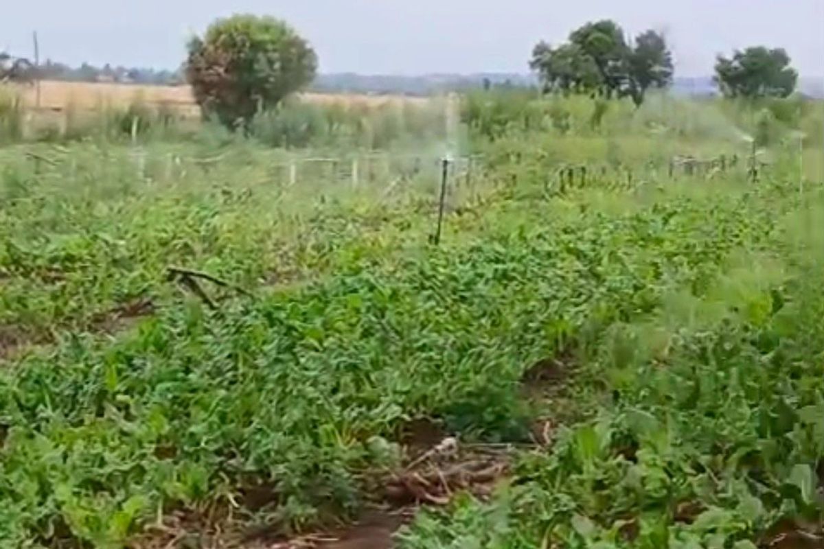 Developed land - Photo 4