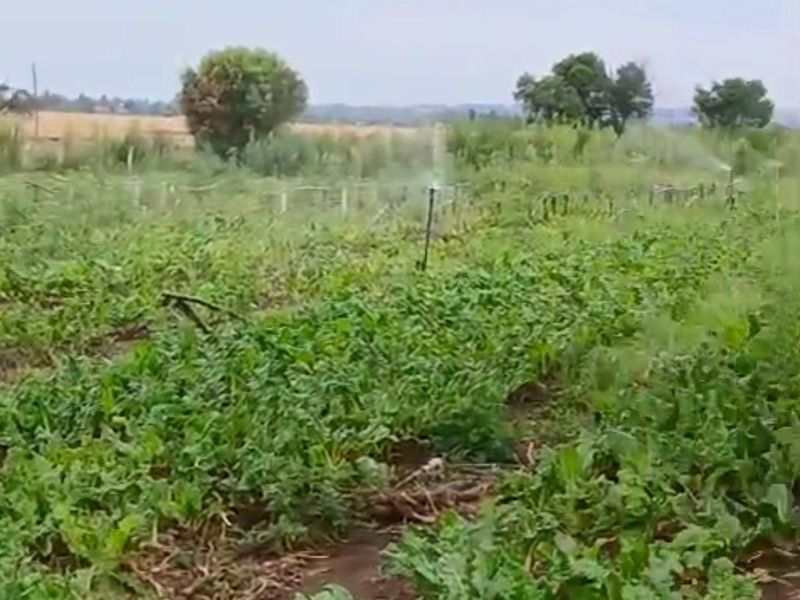 Developed land - Photo 4