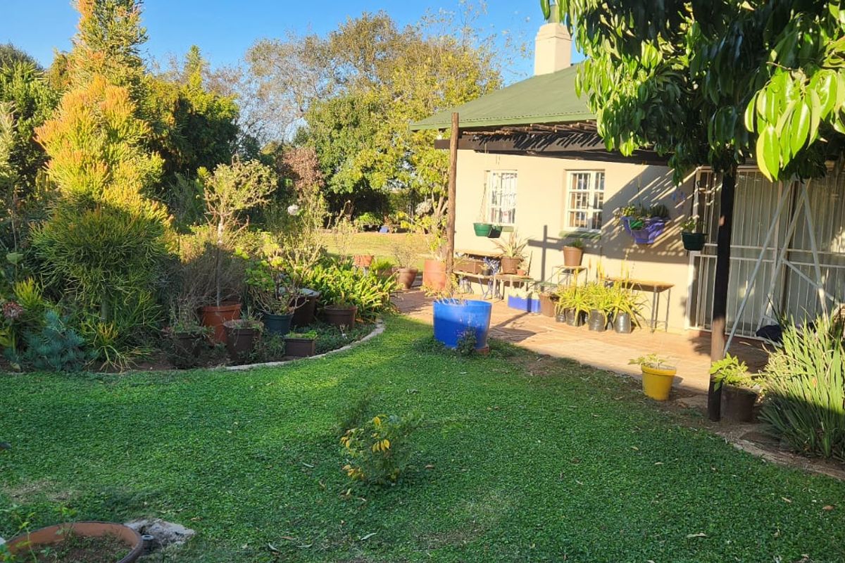 9.5 Hectares Farm for Sale - Do not miss this amazing opportunity it will not be around for long.  - Photo 4