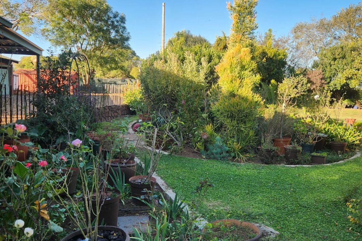 9.5 Hectares Farm for Sale - Do not miss this amazing opportunity it will not be around for long.  - Photo 3