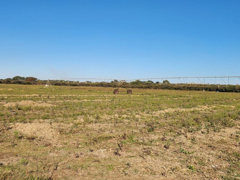 25 Hectares Irrigated Land for sale  - Photo 3