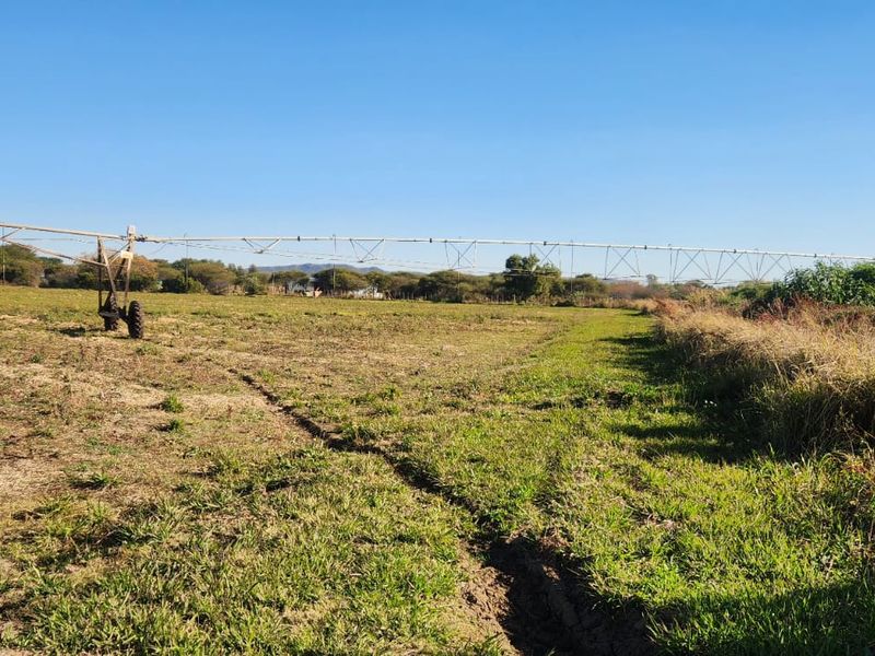 25 Hectares Irrigated Land for sale  - Photo 2