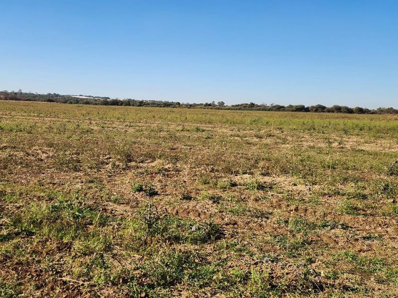 25 Hectares Irrigated Land for sale  - Photo 8