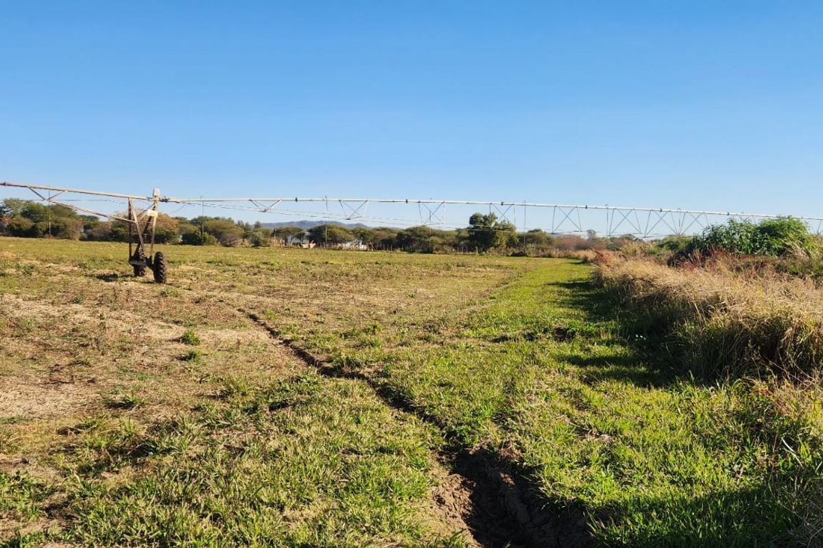 Expansive agricultural land featuring a center pivot irrigation system, suitable for farming operations.