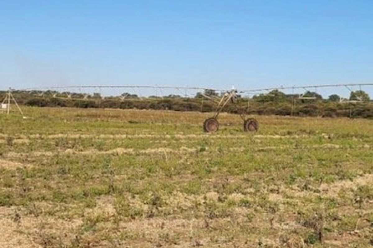 Expansive agricultural land featuring a center pivot irrigation system, suitable for various farming operations.