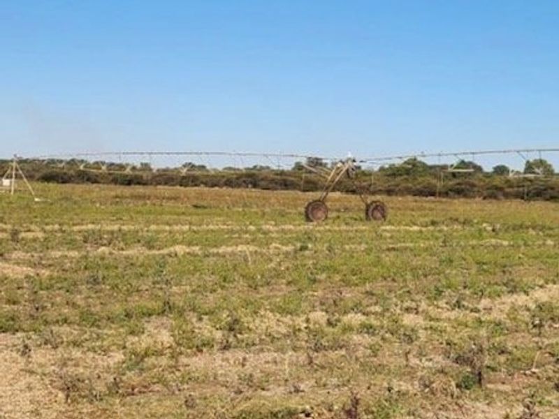 25 Hectares Irrigated Land for sale  - Photo 1