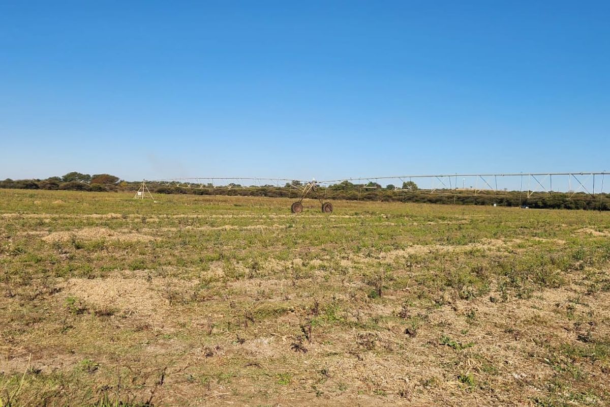 Expansive agricultural farmland featuring a functional center pivot irrigation system for crop cultivation.