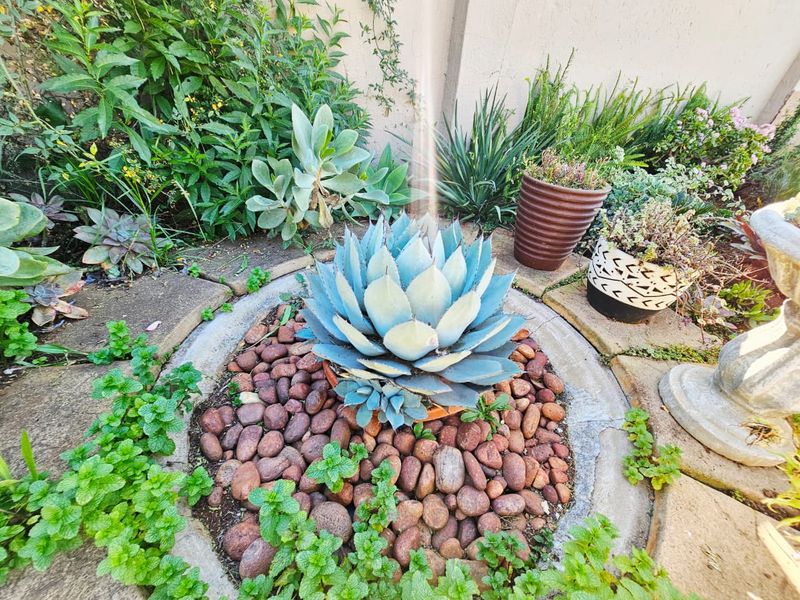 A Beautiful 3 bedroom 2 bathroom townhouse for sale in Heuwelsig Estate - Photo 10