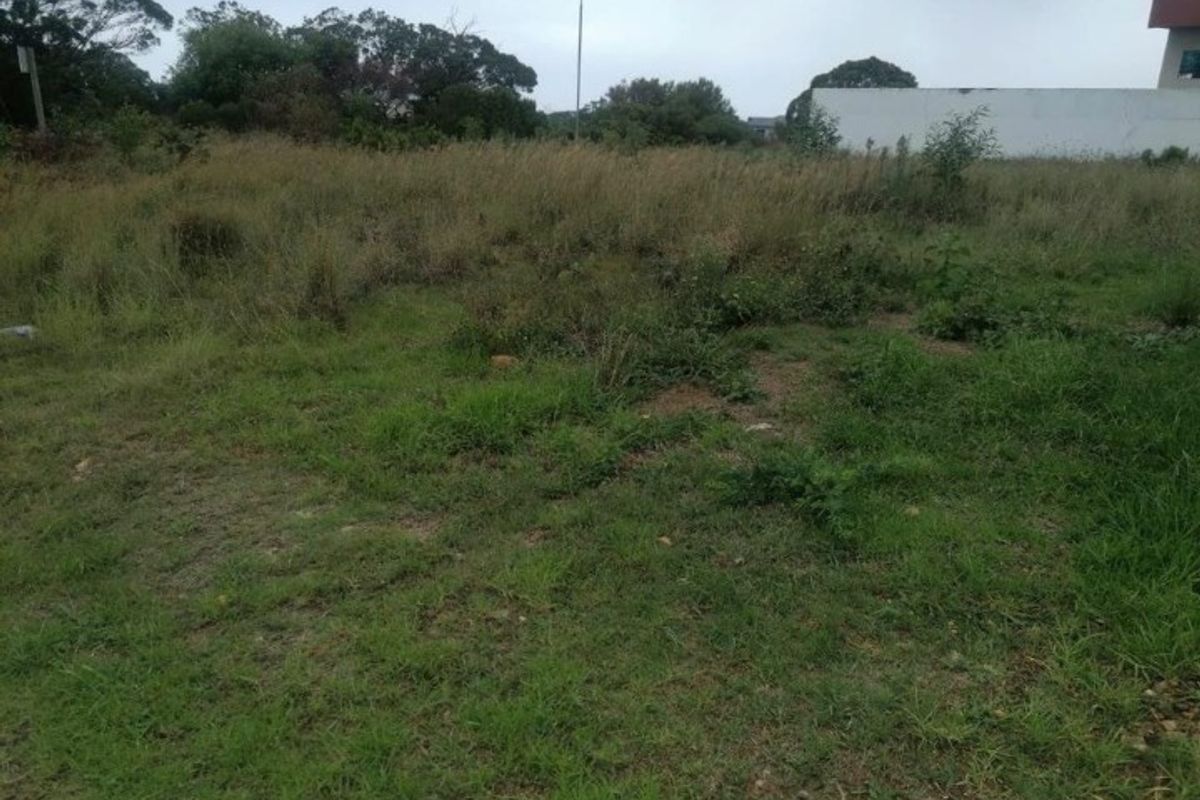 A view of an undeveloped residential plot of land covered in natural grass and vegetation.