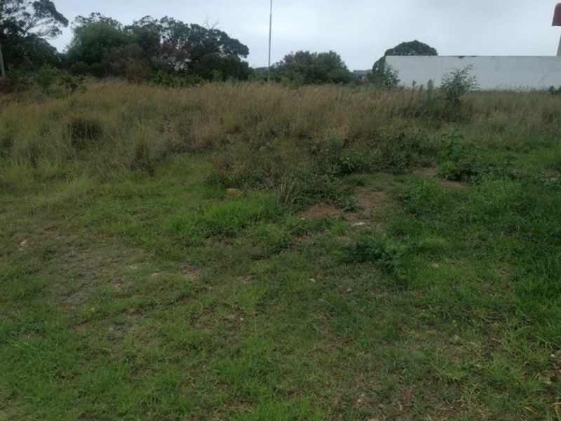 A view of an undeveloped residential plot of land covered in natural grass and vegetation.