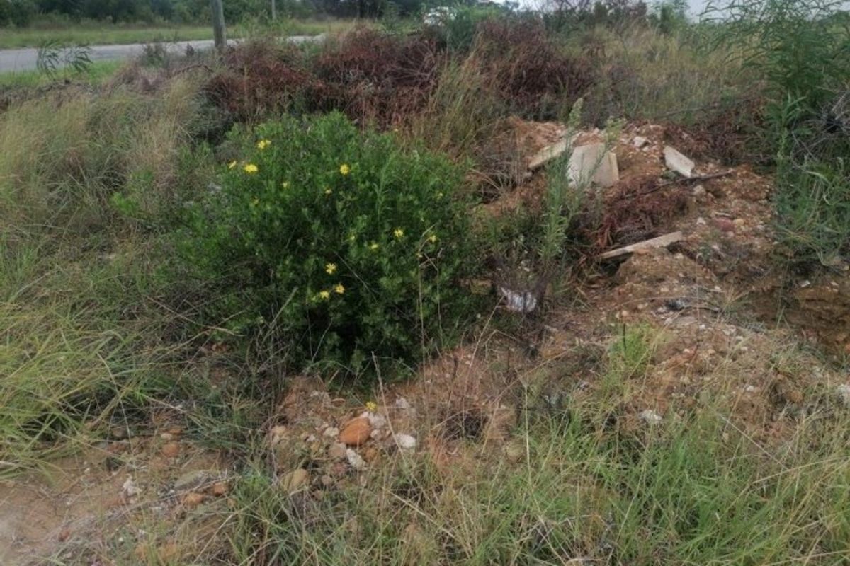 A view of an undeveloped residential plot featuring native vegetation and some surface debris, requiring clearing for future construction.