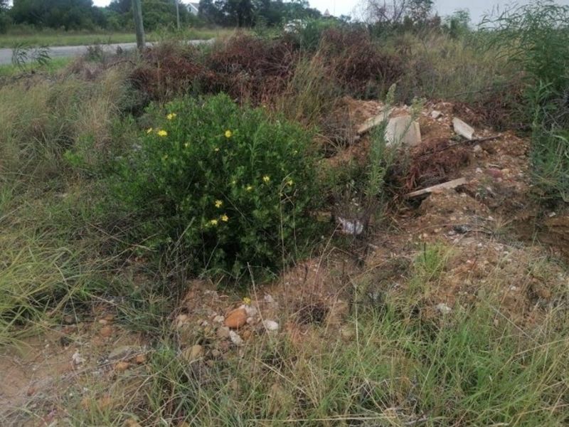 A view of an undeveloped residential plot featuring native vegetation and some surface debris, requiring clearing for future construction.