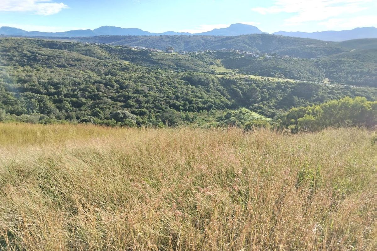 PANORAMIC STAND WITH SPECTACULAR MOUNTAIN VIEWS IN AVONDDANS COUNTRY ESTATE - Photo 2