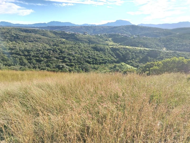 PANORAMIC STAND WITH SPECTACULAR MOUNTAIN VIEWS IN AVONDDANS COUNTRY ESTATE - Photo 2
