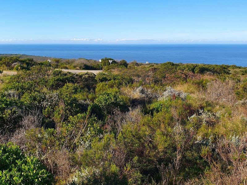 Prime Vacant Erf at Paradise Coast Mossel Bay - Photo 4