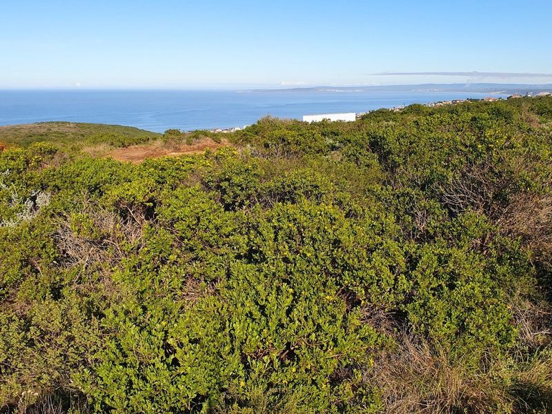Prime Vacant Erf at Paradise Coast Mossel Bay - Photo 3