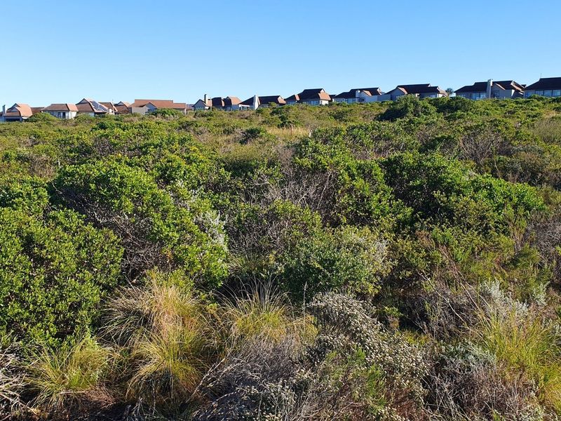 Prime Vacant Erf at Paradise Coast Mossel Bay - Photo 2