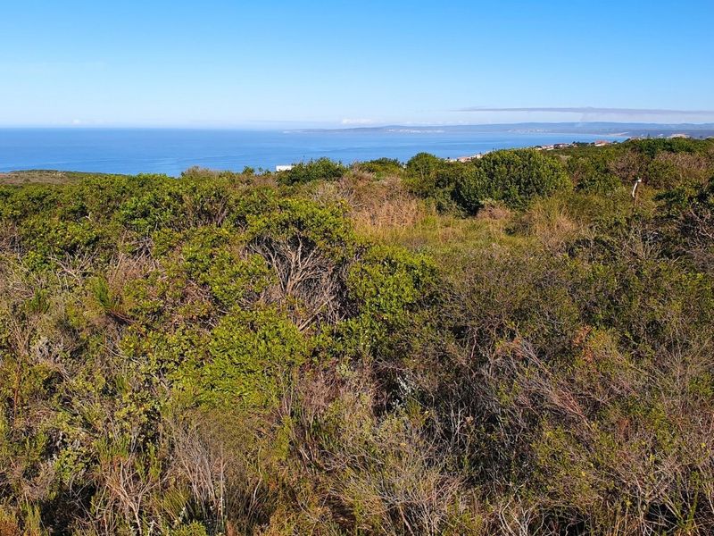 Prime Vacant Erf at Paradise Coast Mossel Bay - Photo 5