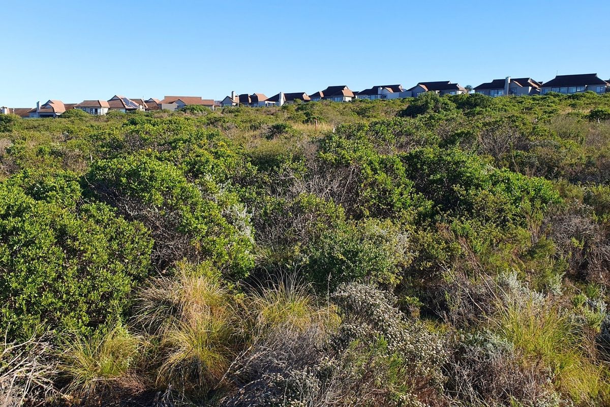 A view of the vacant residential land covered in natural fynbos vegetation with established residential properties visible in the background.