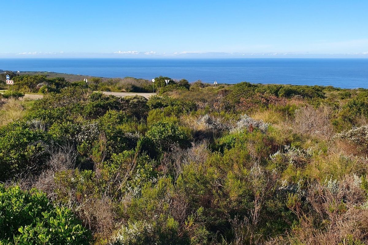 A scenic view of the coastal landscape featuring native vegetation and an expansive ocean horizon.