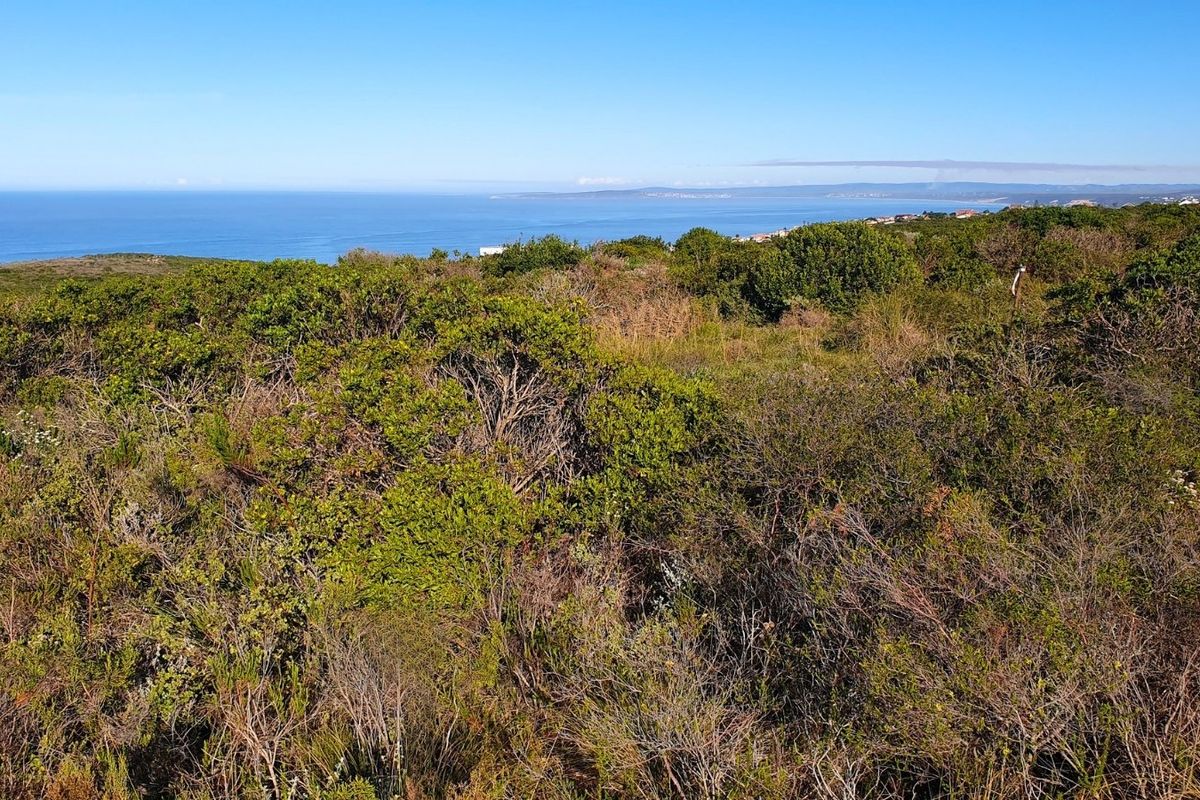A scenic view of the coastal landscape featuring native vegetation and an expansive ocean horizon.
