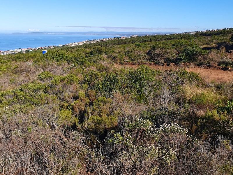 Build Your Dream Coastal Escape At Paradise Coast - Photo 3