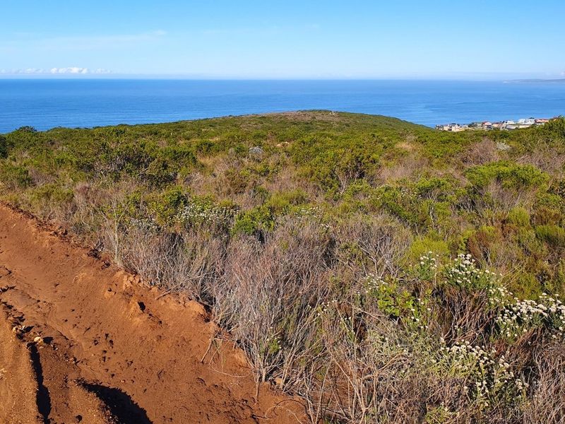 Build Your Dream Coastal Escape At Paradise Coast - Photo 5