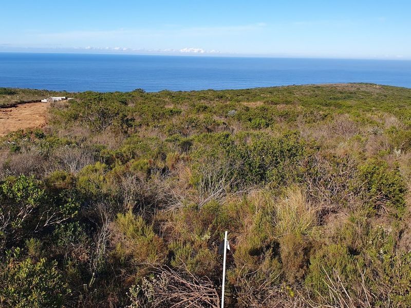 Build Your Dream Coastal Escape At Paradise Coast - Photo 1