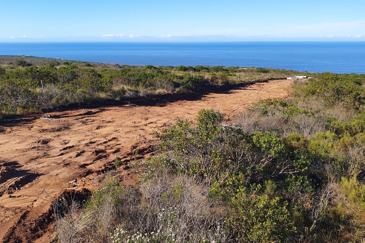 A scenic view of the coastal landscape featuring natural vegetation and an unpaved access track leading towards the ocean.