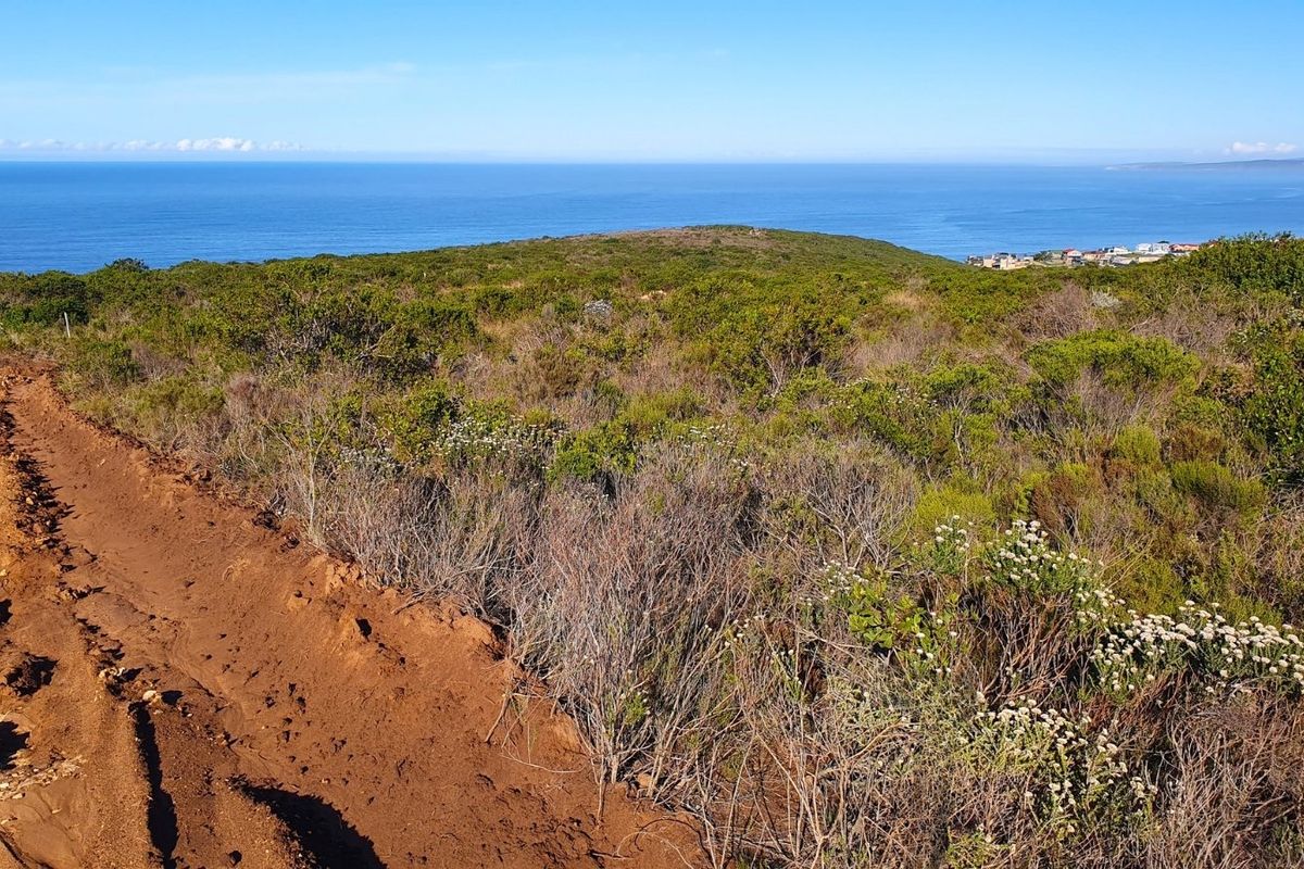 A scenic view overlooking natural coastal vegetation with an expansive ocean horizon in the background.