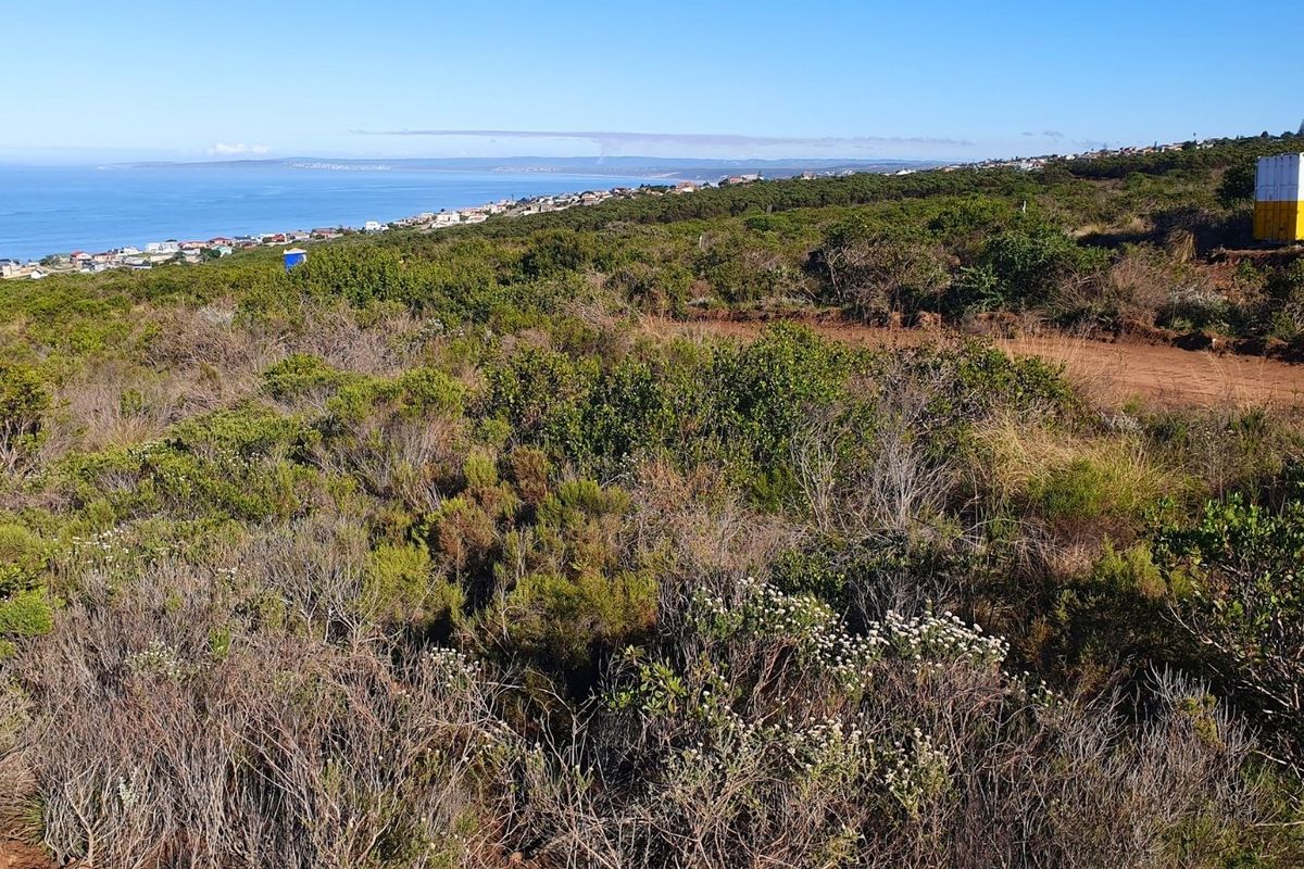 A scenic view overlooking the coastline and surrounding natural landscape from the vacant residential property.