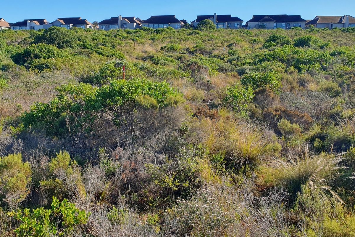 Secure Your Place In Nature’s Coastal Masterpiece - Photo 4