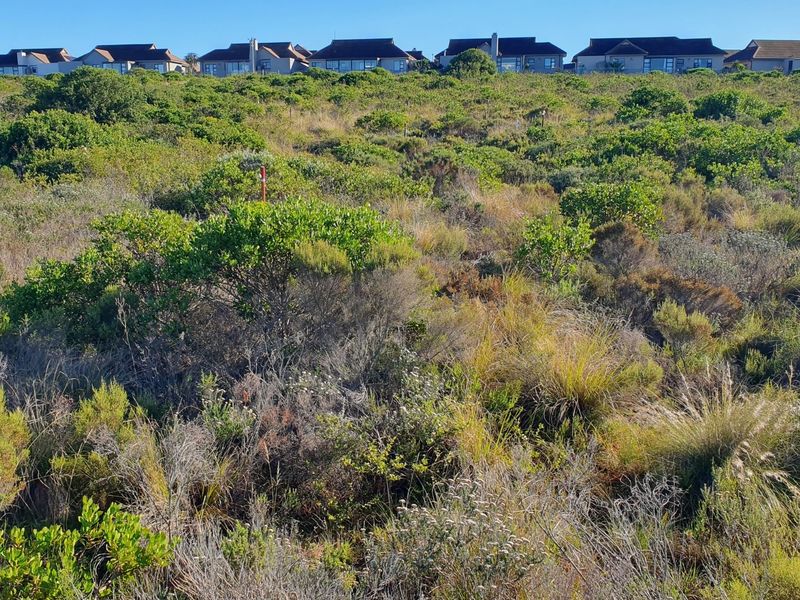 Secure Your Place In Nature’s Coastal Masterpiece - Photo 4
