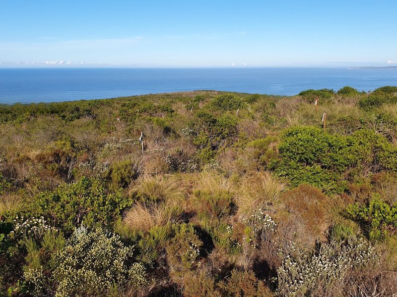 Secure Your Place In Nature’s Coastal Masterpiece - Photo 3