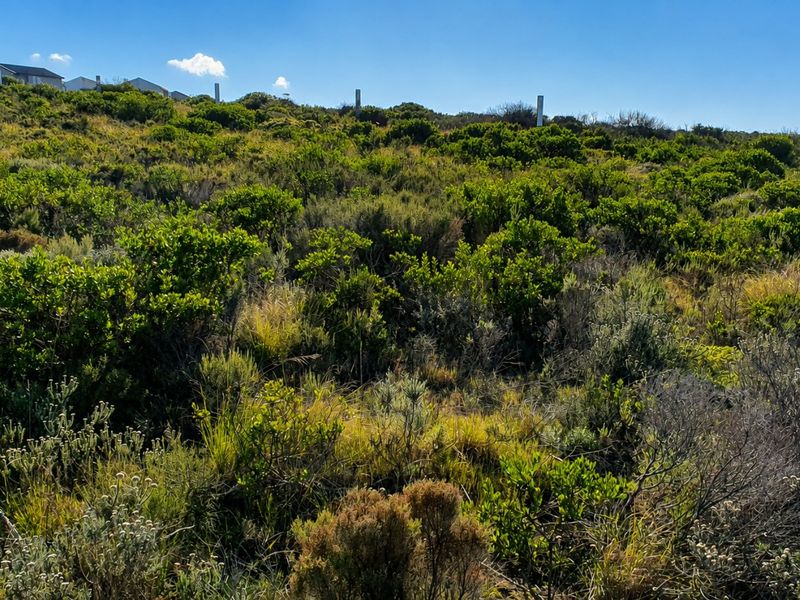 Secure Your Place In Nature’s Coastal Masterpiece - Photo 5