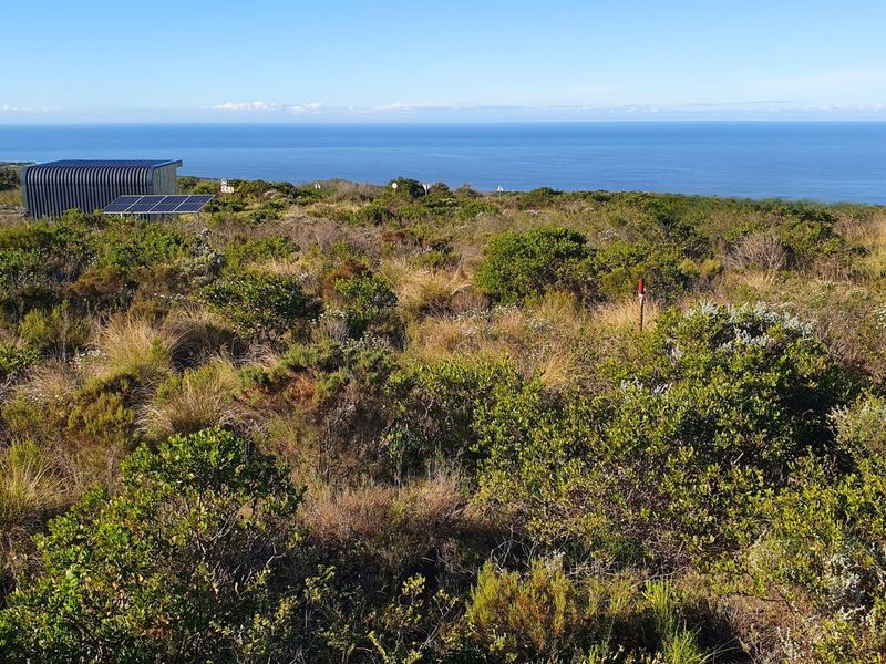 Secure Your Place In Nature’s Coastal Masterpiece - Photo 2