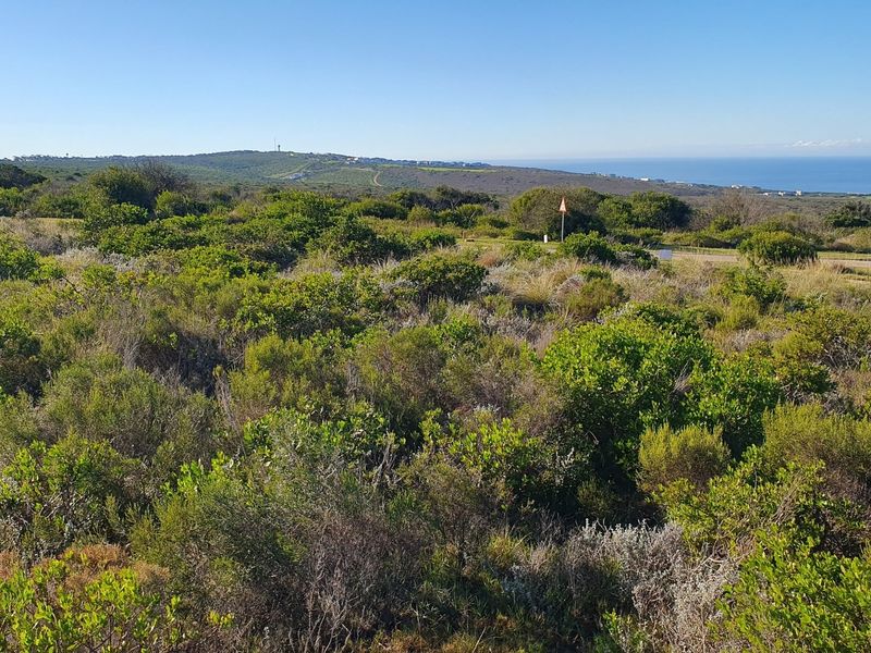 Secure Your Place In Nature’s Coastal Masterpiece - Photo 1