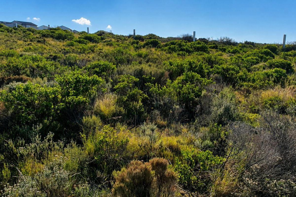 A view of a vacant residential plot featuring natural vegetation and visible boundary markers against a clear blue sky.