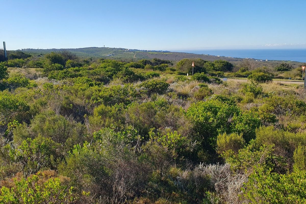 A scenic view of the coastal landscape and native vegetation on the vacant residential land.